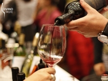 DiVino.Taste 2026